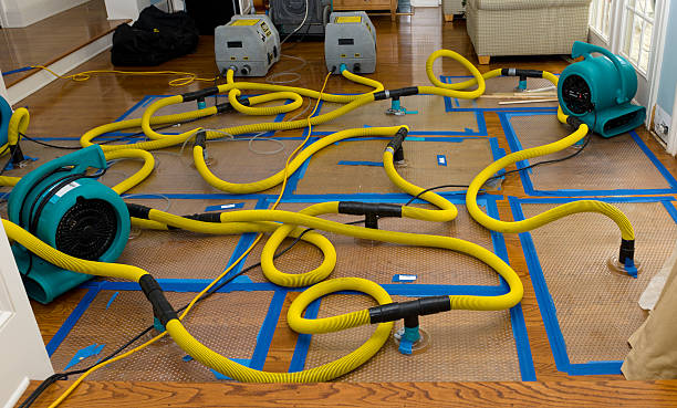 Professional Basement Flood Cleanup technician working in Wallingford, PA